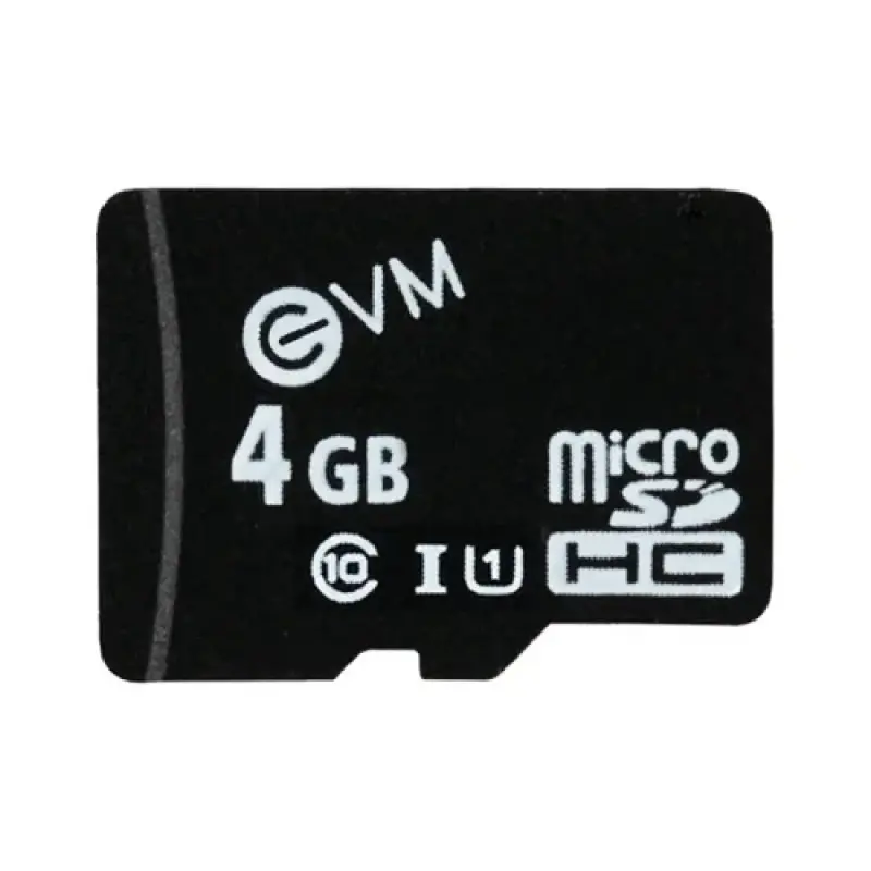 EVM 4GB Micro SDHC Memory Card, Class 10 UHS-I, 100MB/s High Speed Flash Card with 5-Year Warranty (for Mobile, Camera & DVR)